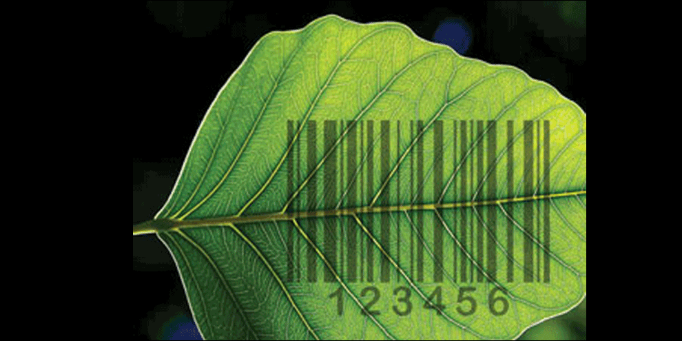 Barcode Scanning Helps Novice Gardeners Make The Right Landscaping Choices