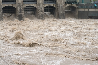 Istock_000022160533_Small