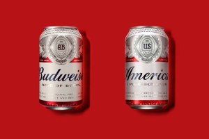 Budweiser America_Cans 300X200