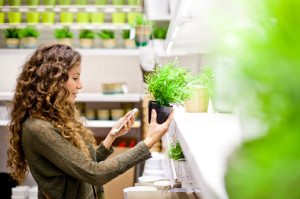 Istock_000050415626_Small 300X199