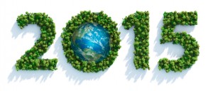 Istock_000051933668_Small4 300X128