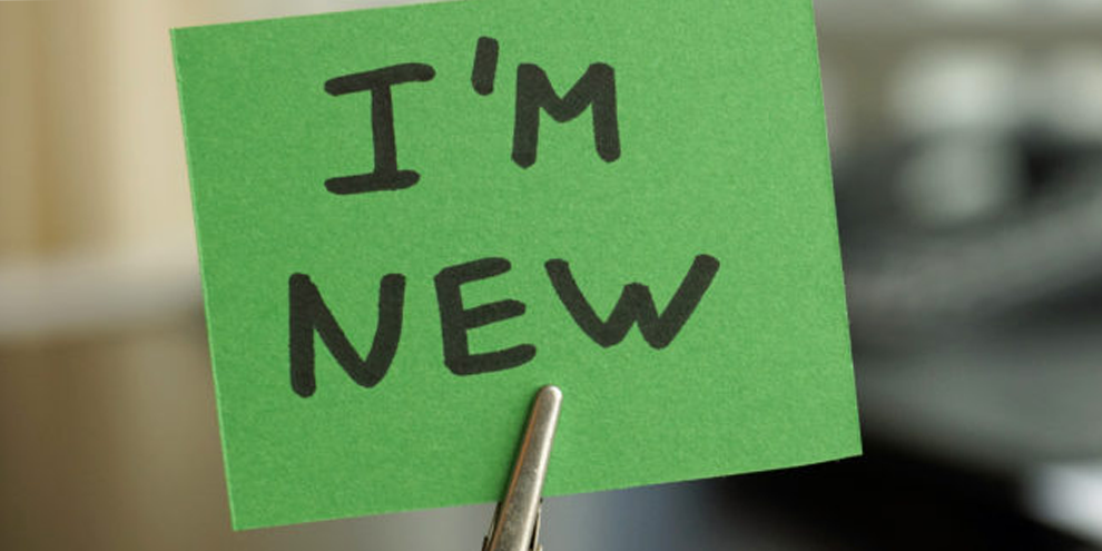 Should Your Company Implement A Shock Report