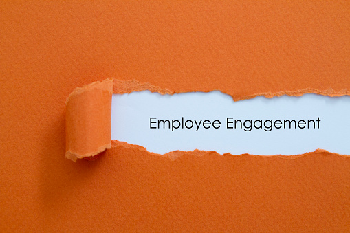 Employee Engagement Picture Id636567142