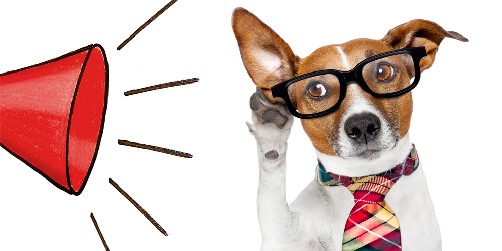 Insights Industry Names Of Note August