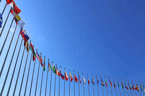 International Research