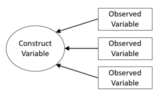 Construct Variable