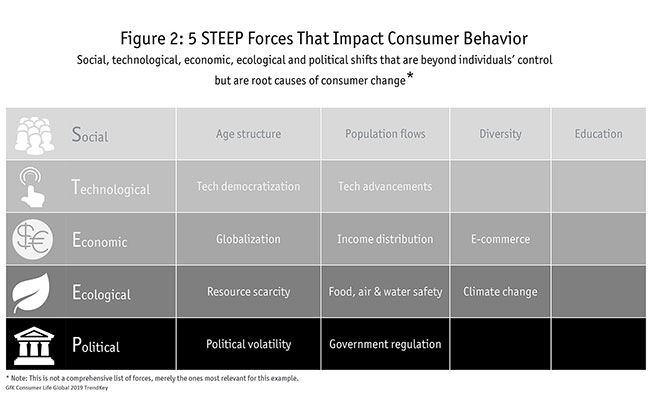 Figure 2 5 STEEP Forces that impact consumer behavior