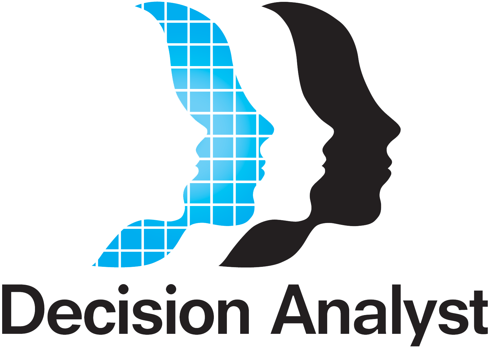 Decision Analyst