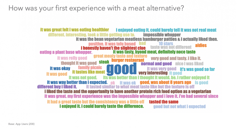 Word Cloud How Was Your First Experience With A Meat Alternative