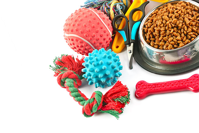 pet toys and food in bowl