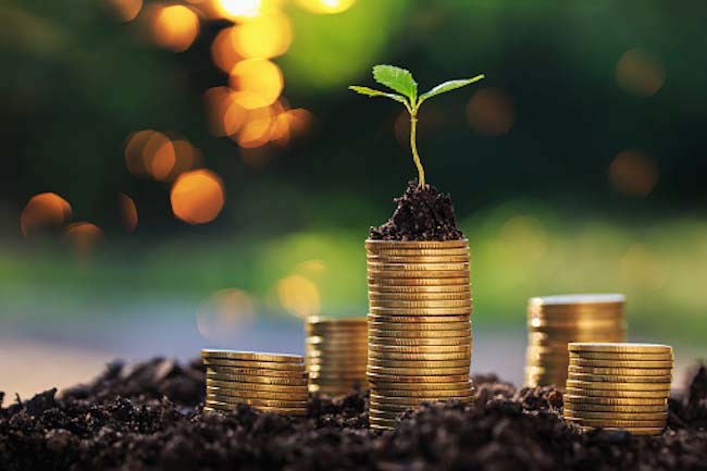 Return on investment concept and saving money. Seedling on a stack of coins in a blurred natural background.