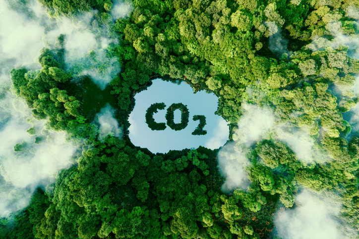 Concept depicting the issue of carbon dioxide emissions and its impact on nature - trees 