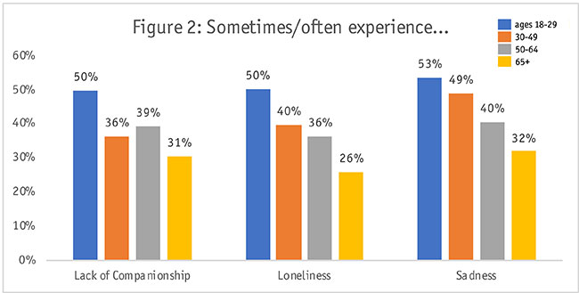 Bar graph showing percentages of lack of companionship, loneliness and sadness. 