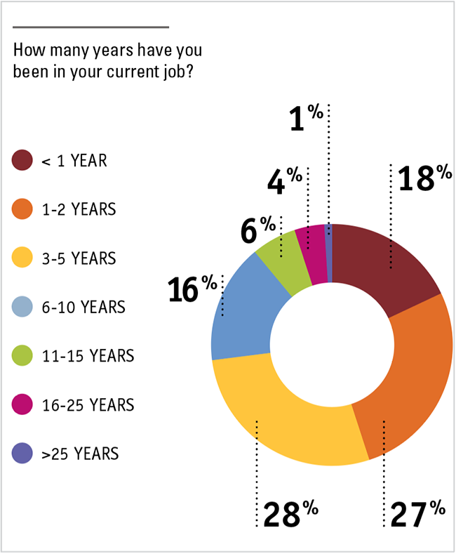 Circle graph showing years at current job percentages and ranges.