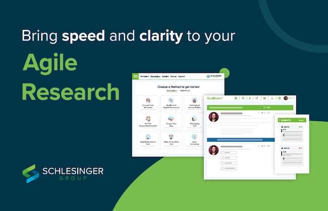 Schlesinger Group Agile Research 