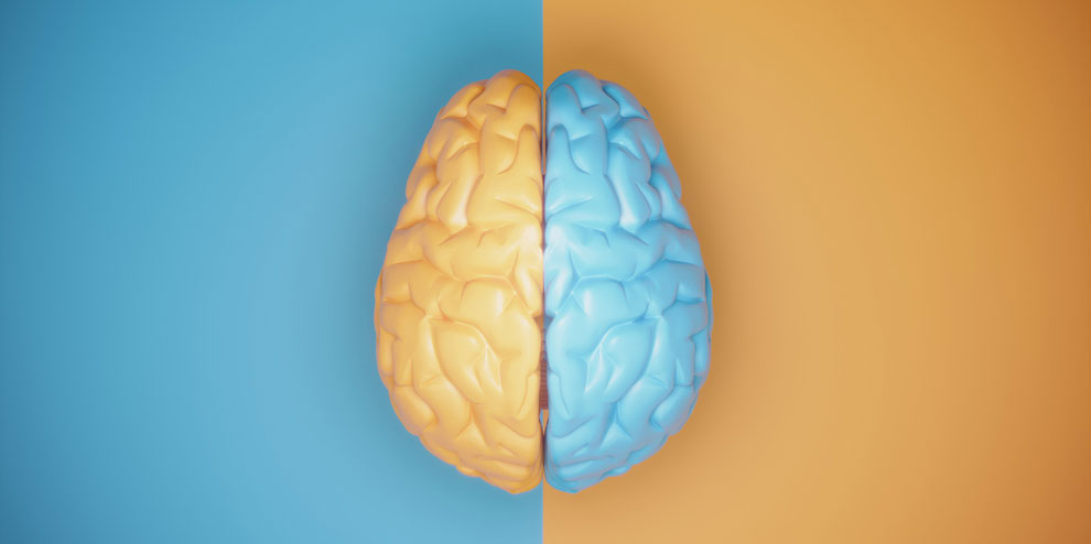 Leveraging Right Brain Marketing Research To Connect With Consumers Yellow And Blue Brain