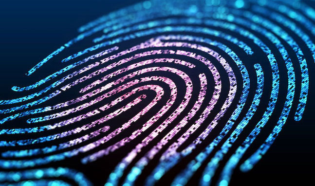 A digital fingerprint scan.