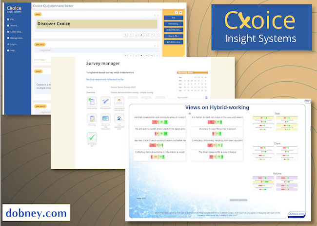 Dobney.com Cxoice insight systems.