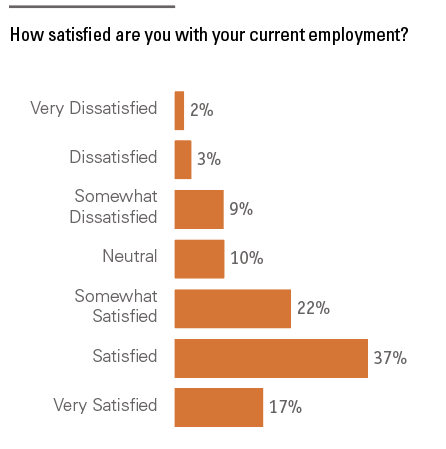 Job satisfaction with current employment.