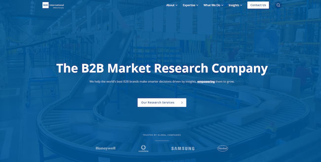 The B2B Marketing Research Company.