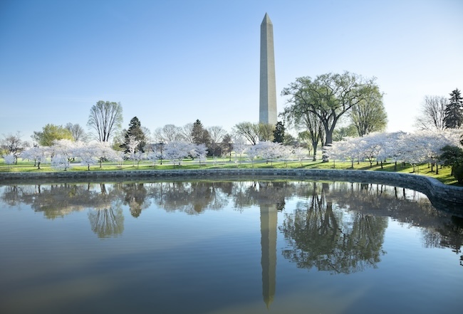 Area Wide Market Research