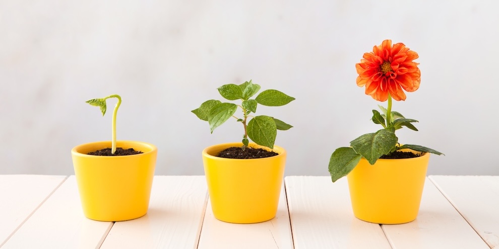 Equipping You And Your Organization For Whats Next