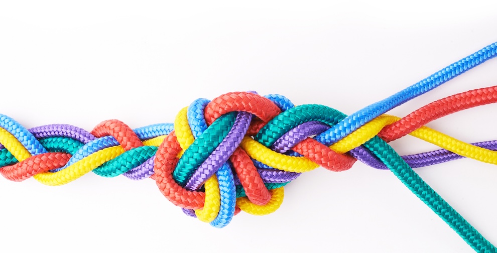 Brand Identity Change Insights